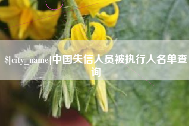 承德中国失信人员被执行人名单查询