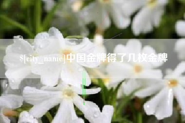 承德中国金牌得了几枚金牌