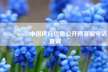 承德中国执行信息公开网客服电话查询