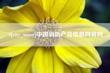 承德中国消防产品信息网官网
