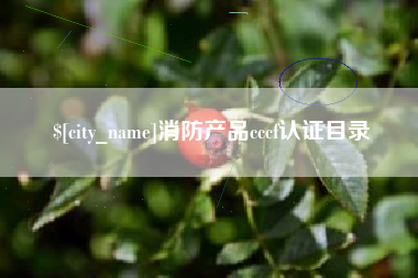 承德消防产品cccf认证目录