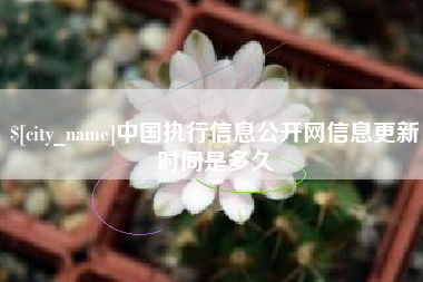承德中国执行信息公开网信息更新时间是多久