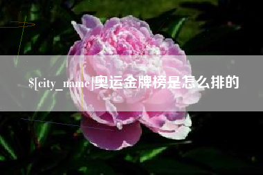 承德奥运金牌榜是怎么排的
