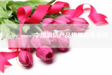 承德中国消防产品质量信息查询