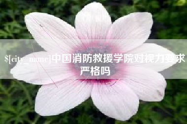 承德中国消防救援学院对视力要求严格吗