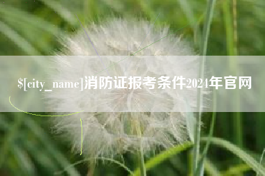 承德消防证报考条件2024年官网