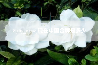 承德现在中国金牌是多少