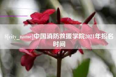 承德中国消防救援学院2021年报名时间
