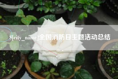 承德全国消防日主题活动总结