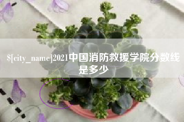 承德2021中国消防救援学院分数线是多少