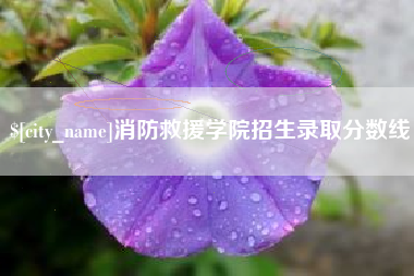 承德消防救援学院招生录取分数线
