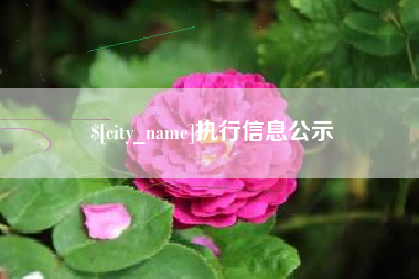 承德执行信息公示