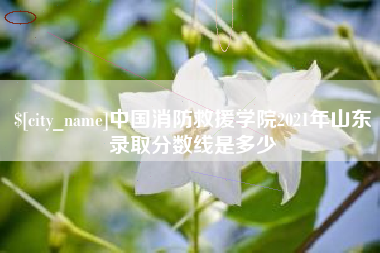 承德中国消防救援学院2021年山东录取分数线是多少