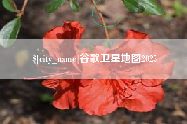 承德谷歌卫星地图2025