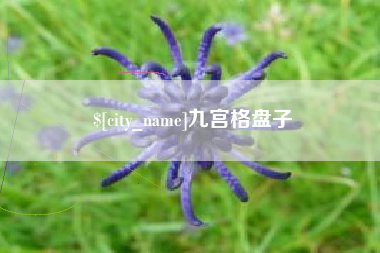 承德九宫格盘子