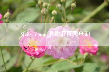 承德消控证官网查询