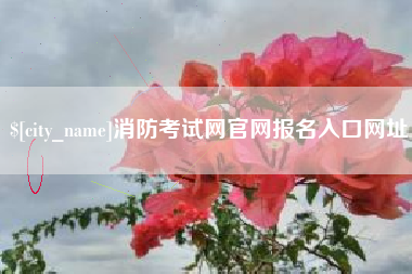 承德消防考试网官网报名入口网址