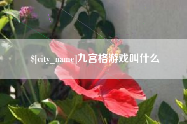 承德九宫格游戏叫什么