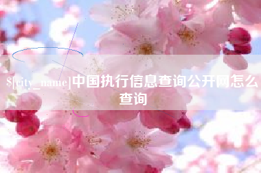 承德中国执行信息查询公开网怎么查询