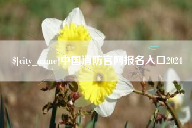 承德中国消防官网报名入口2024