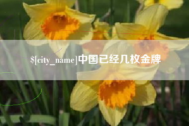 承德中国已经几枚金牌