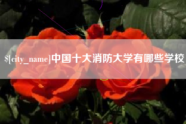 承德中国十大消防大学有哪些学校