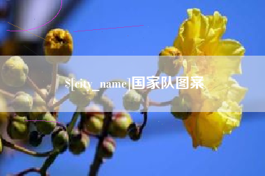 承德国家队图案