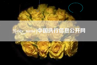 承德中国执行信息公开网