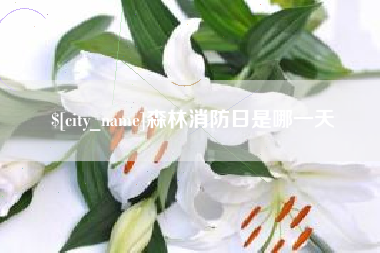 承德森林消防日是哪一天
