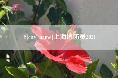 承德上海消防员2021