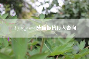 承德失信被执行人杳询