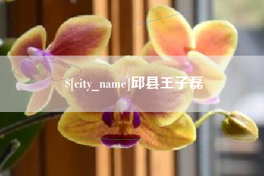 承德邱县王子磊