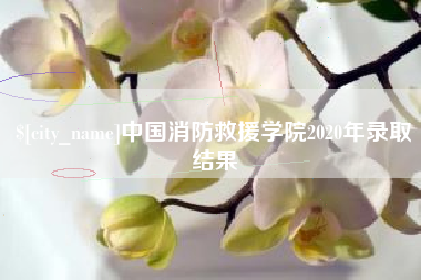 承德中国消防救援学院2020年录取结果