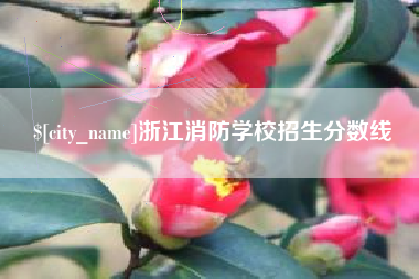 承德浙江消防学校招生分数线