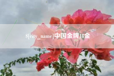 承德中国金牌18金