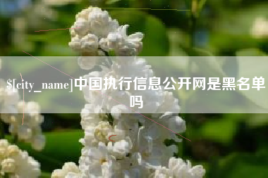 承德中国执行信息公开网是黑名单吗