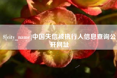 承德中国失信被执行人信息查询公开网址