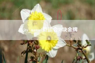 承德奥运会39块金牌