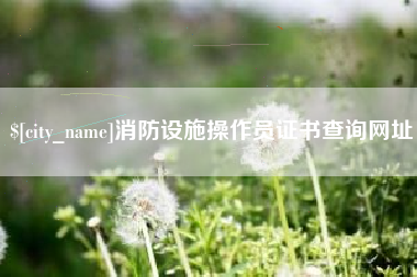 承德消防设施操作员证书查询网址
