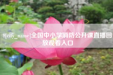 承德全国中小学消防公开课直播回放观看入口