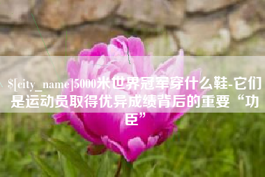 承德5000米世界冠军穿什么鞋-它们是运动员取得优异成绩背后的重要“功臣”