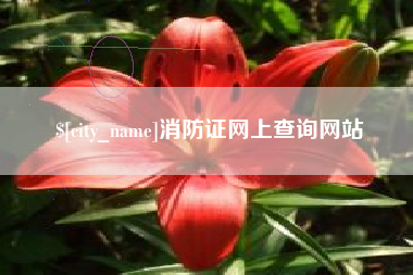 承德消防证网上查询网站