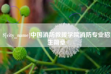承德中国消防救援学院消防专业招生简章