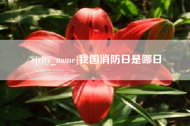 承德我国消防日是哪日