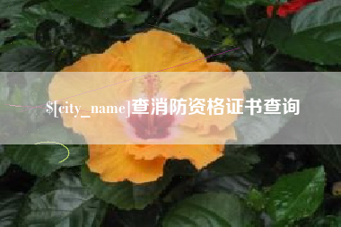 承德查消防资格证书查询