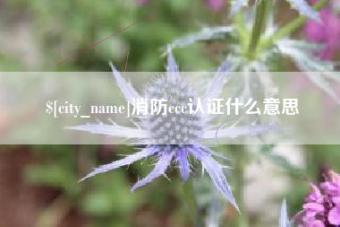 承德消防ccc认证什么意思