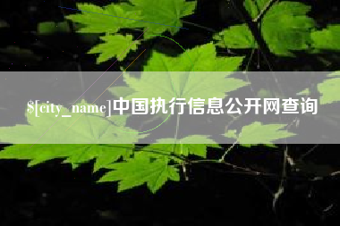 承德中国执行信息公开网查询
