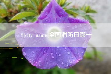 承德全国消防日哪一