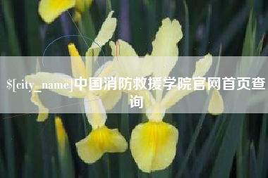承德中国消防救援学院官网首页查询