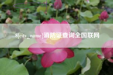 承德消防证查询全国联网